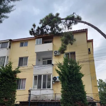 Of Maks Durres,albania Golem (Tirana)