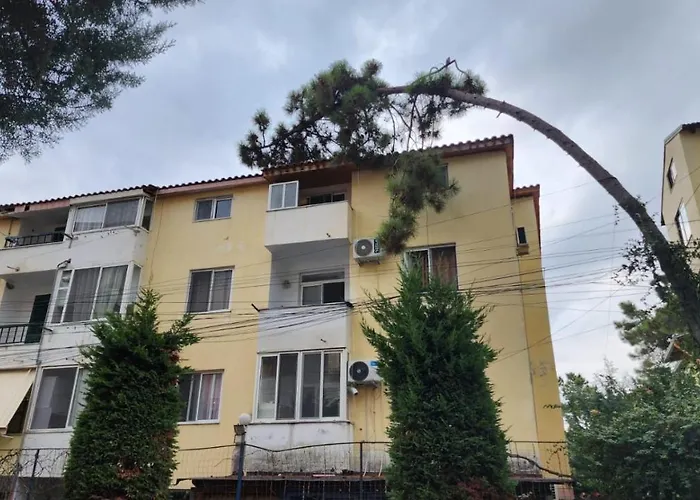 Of Maks Durres,albania 格勒姆